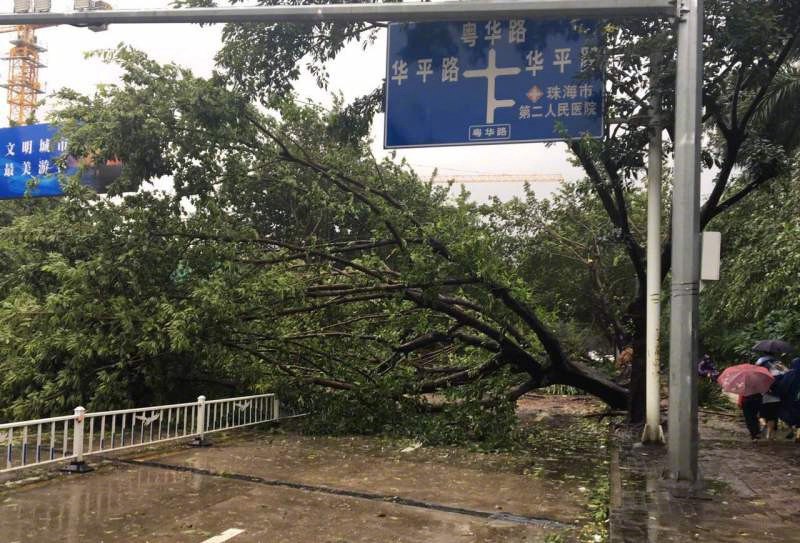 “天鸽”过境，倒下的何止是树，还有弱不禁风的劣质产品