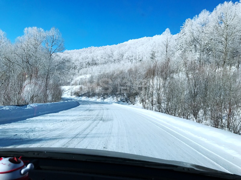 2018年的第一场雪，在北国雪山的恰好时绿却生机盎然！